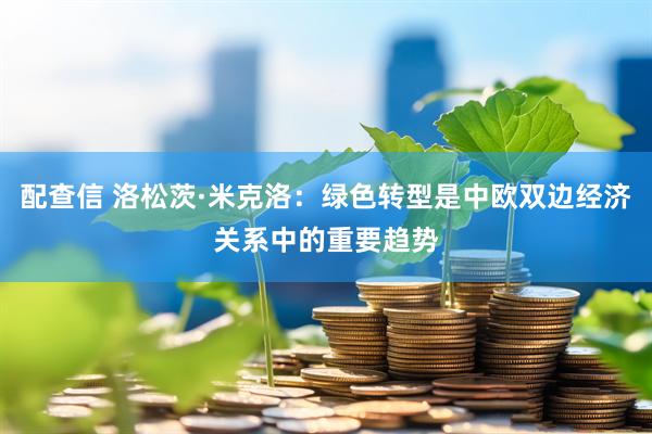 配查信 洛松茨·米克洛：绿色转型是中欧双边经济关系中的重要趋势