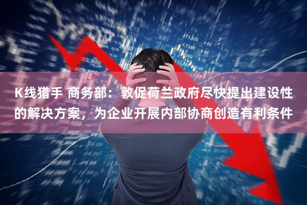 K线猎手 商务部：敦促荷兰政府尽快提出建设性的解决方案，为企业开展内部协商创造有利条件