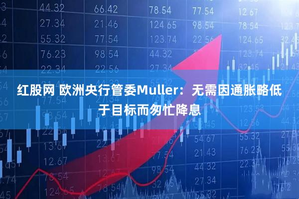 红股网 欧洲央行管委Muller：无需因通胀略低于目标而匆忙降息