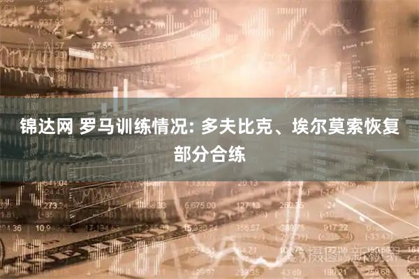 锦达网 罗马训练情况: 多夫比克、埃尔莫索恢复部分合练