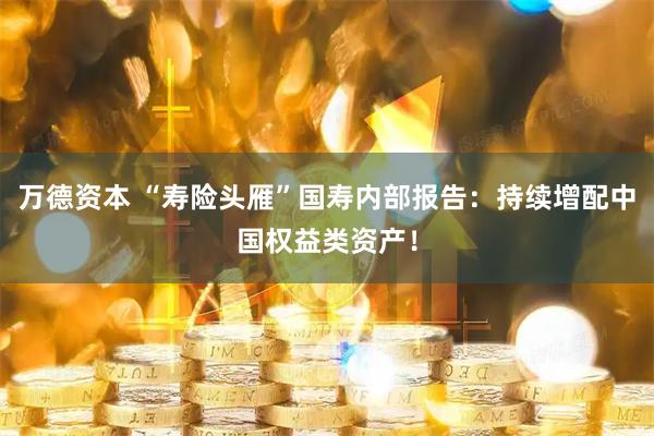 万德资本 “寿险头雁”国寿内部报告：持续增配中国权益类资产！